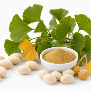Ginkgo Biloba