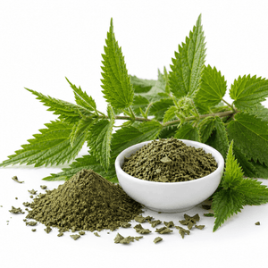 Stinging Nettle Leaf